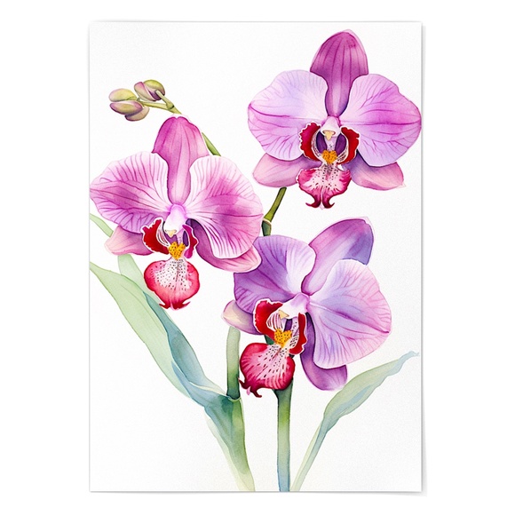 Watercolor Orchids Wall Art Illustration Print Poster Unframed - Picture 3 of 6